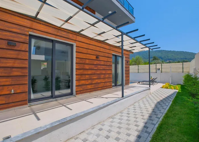 Oldem 2 费特希耶