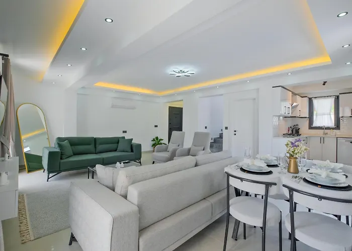 Oldem 2 费特希耶